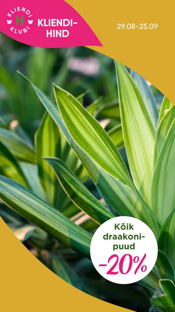 Hortes_Draakonipuud_-20_1080x1920px