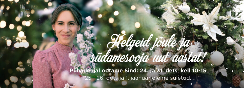 Hortes_Helgemast_helgem_joulumaa_1250x450px