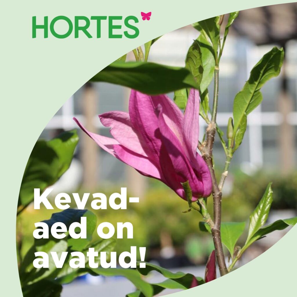 Hortes_Kevadaed_on_avatud_1080x1080px