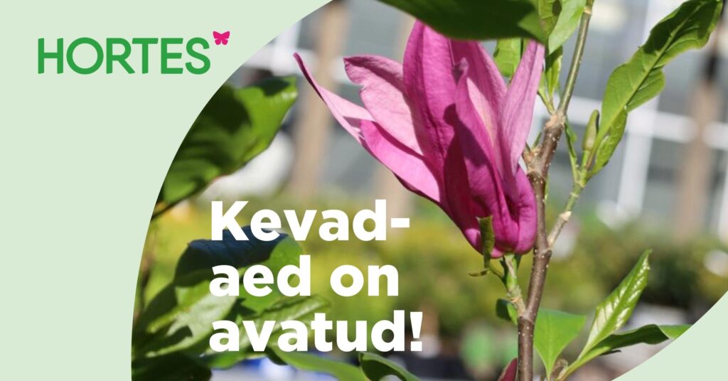 Hortes_Kevadaed_on_avatud_Google_1200×628px