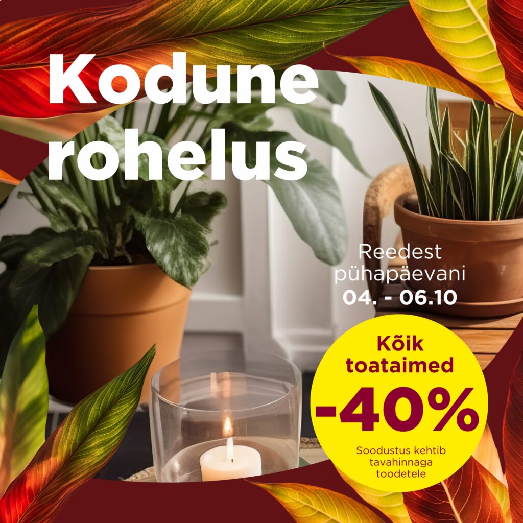 Hortes_Kodune_rohelus_5