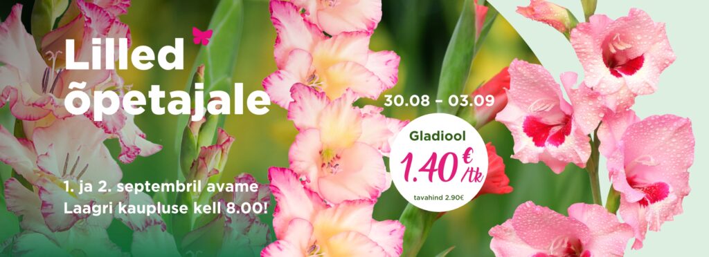 Hortes_Lilled_opetajale_2_www_1240x450px