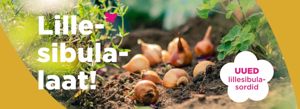 Hortes_Lillesibulalaat_www_1240×450px (2)