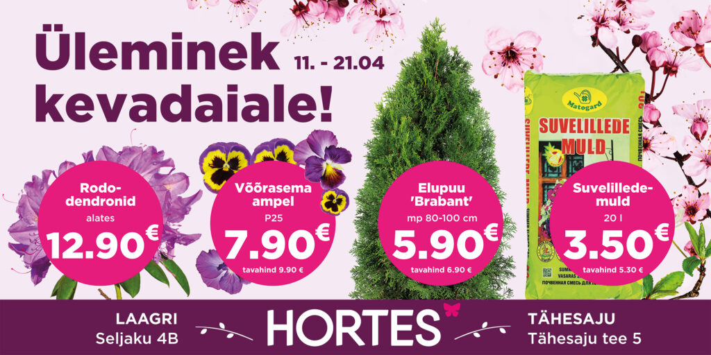 Hortes_Uleminek_kevadaiale_Laagri_3900x1950mm