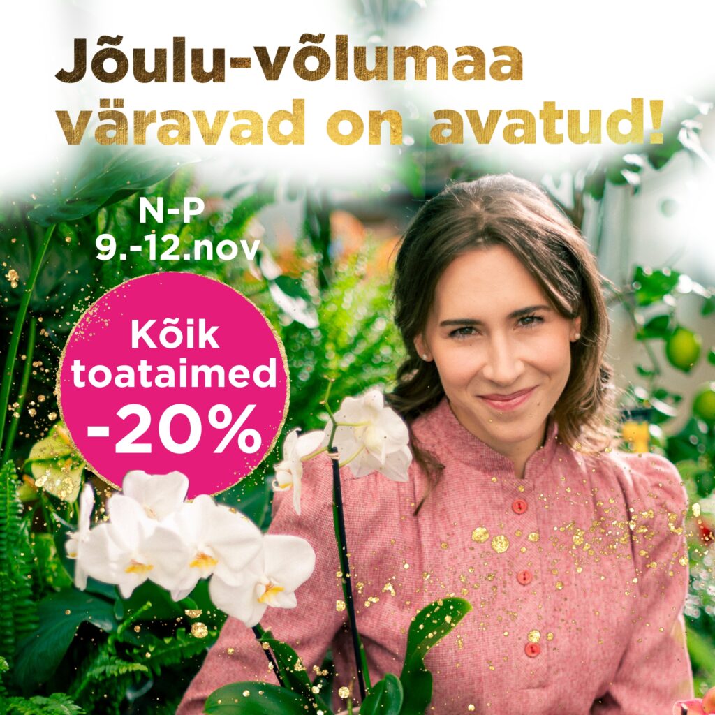 Joulu_pakkumised_2023_1080x1080px-1.jpg