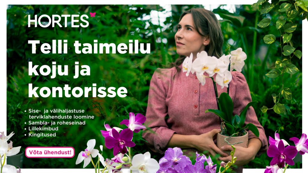 Loov_Disain_Hortes_2riklient_1