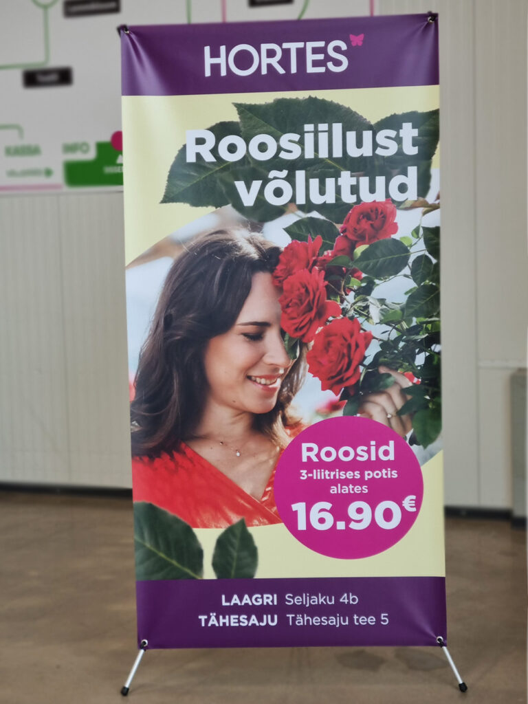 Loov_Disain_Hortes_Roosiilust_volutud