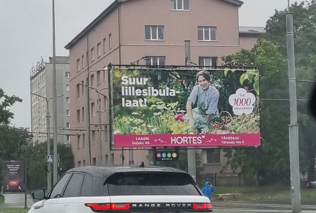 Loov_Disain_Hortes_Suur_lillesibulalaat_outdoor