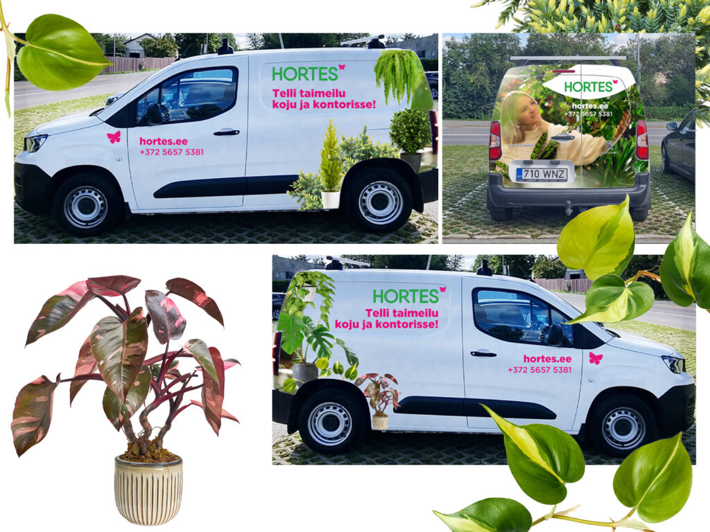 Loov_Disain_Hortes_auto_kujundus